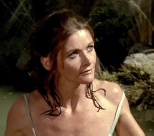 Shoot the Sun Down 1978