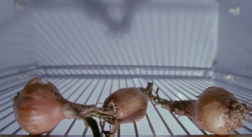 All Ladies Do It 1992