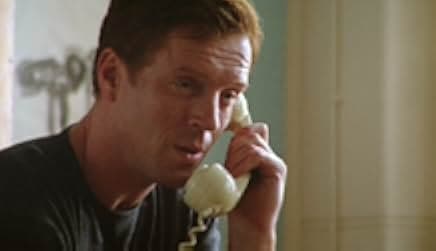 Friends & Crocodiles 2006