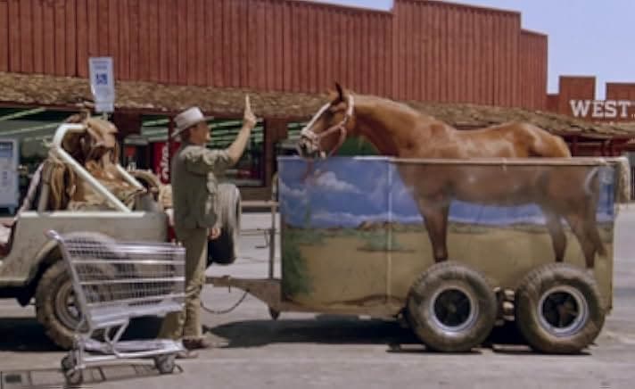 They Call Me Renegade 1987