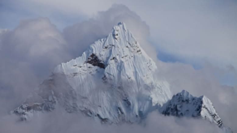 Sherpa 2015