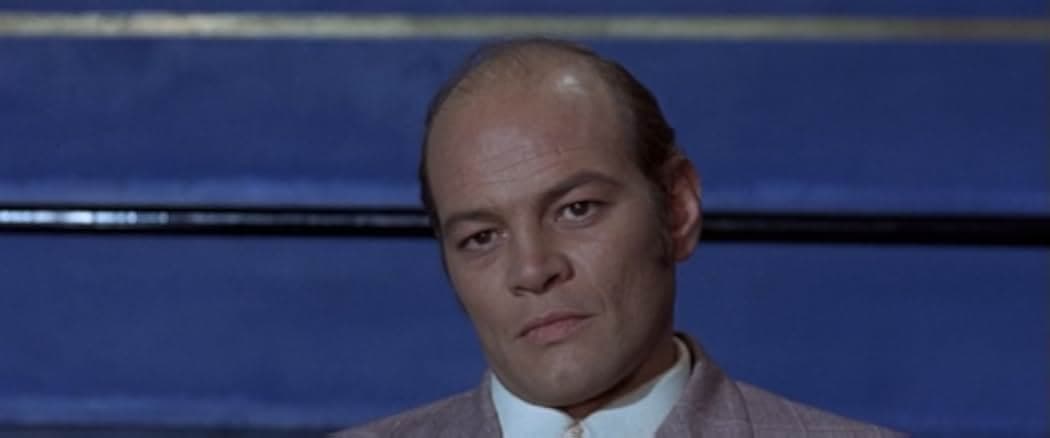 Confessions of a Police Captain 1971