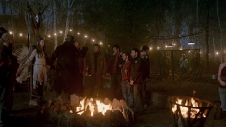 Wolves 2014
