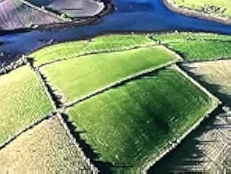 Over Ireland 1998