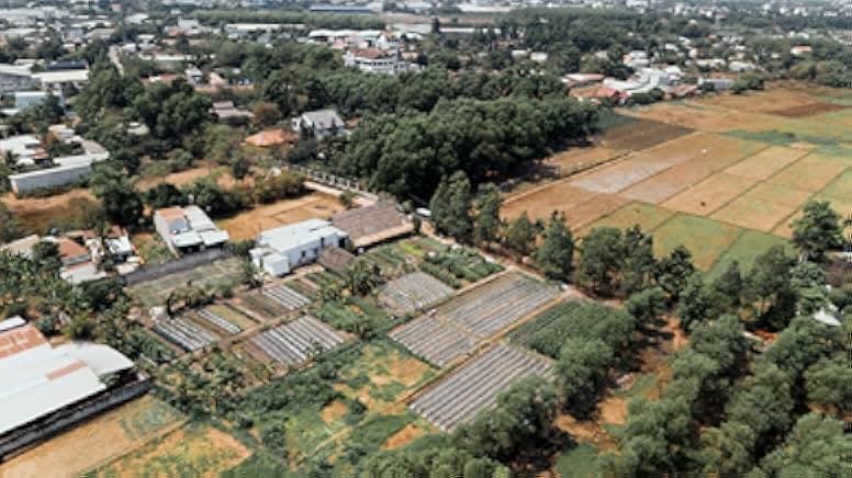 Vietnam: Fast Forward 2021