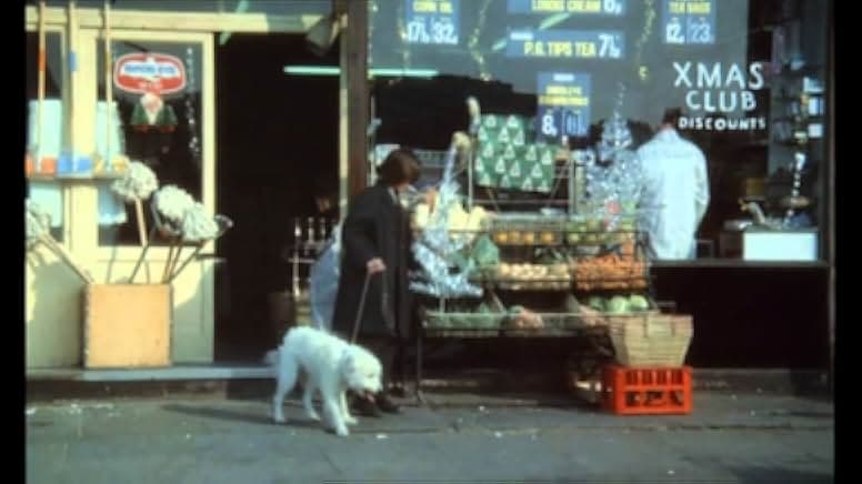 The Wild Little Bunch 1973