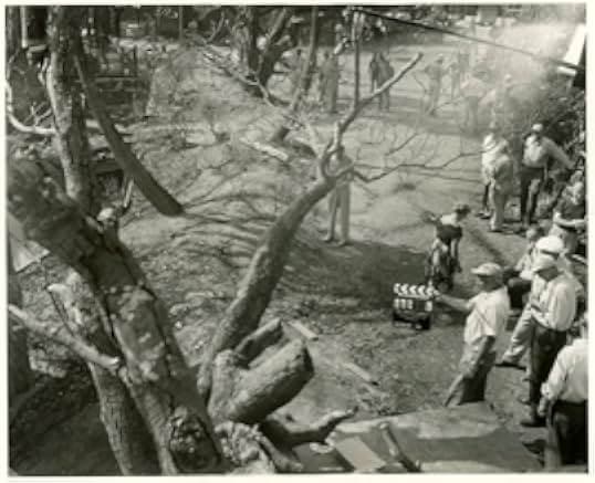 The Naked Jungle 1954