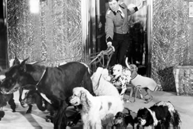 The Bellboy 1960