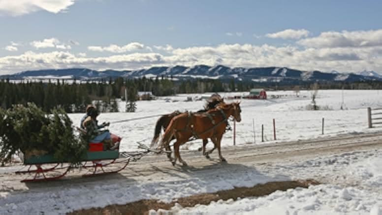 Heartland - Paradies für Pferde - Der Film 2010