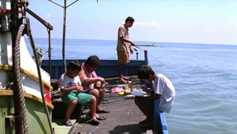 Tropical Fish 1995