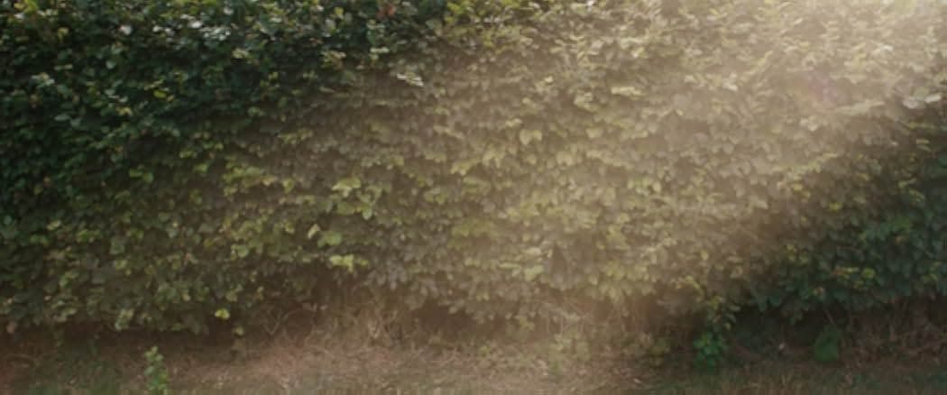 Benny Loves You 2019