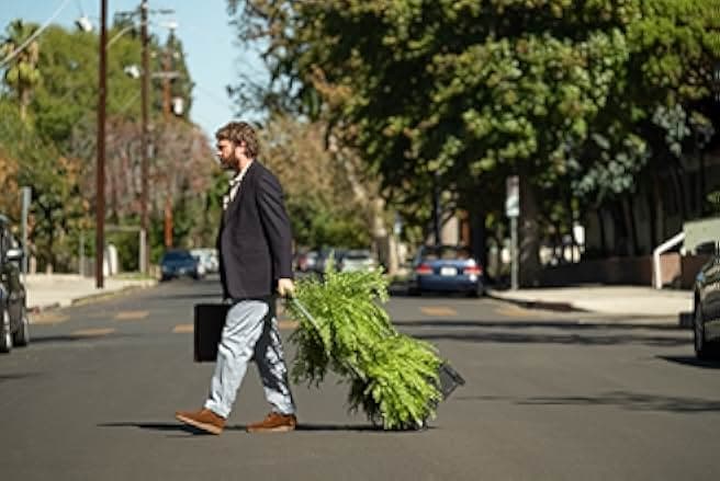 Between Two Ferns: The Movie 2019