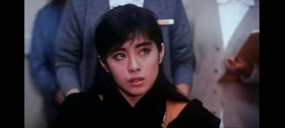 Fractured Follies 1988