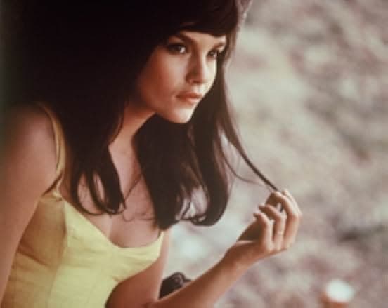 King of Hearts 1966