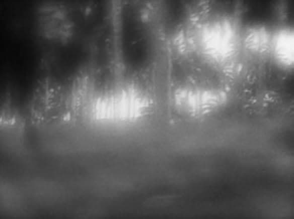 The Woman with the Knife 2020