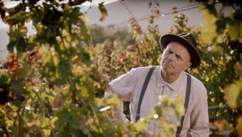From the Vine 2019