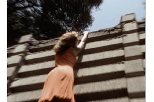 Games of Survival 1989