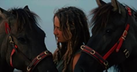 Magie der Wildpferde 2019