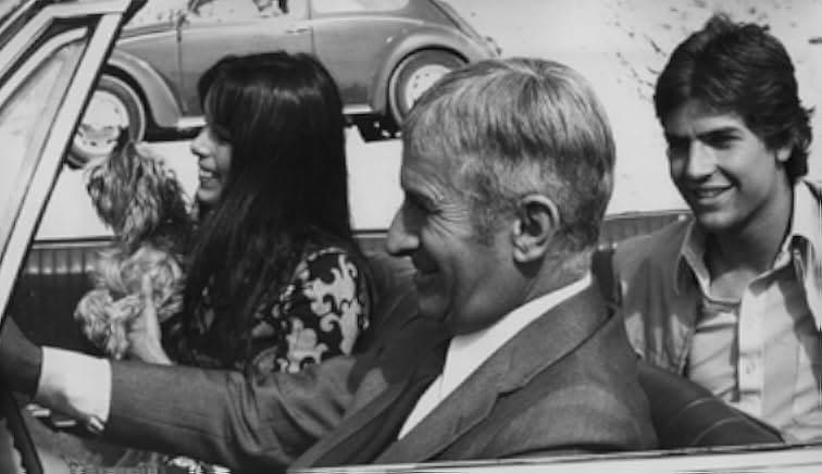 Sur un arbre perché 1971