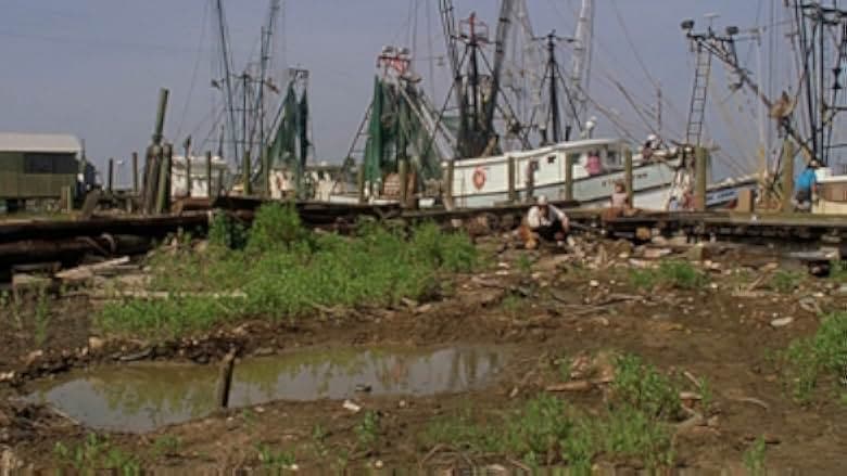 Undertow 2004