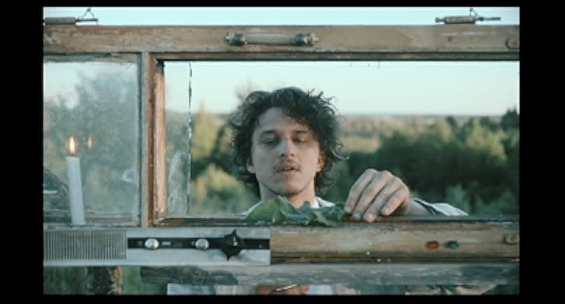 Songs for a Fox 2022