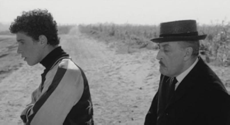 The Hawks and the Sparrows 1969