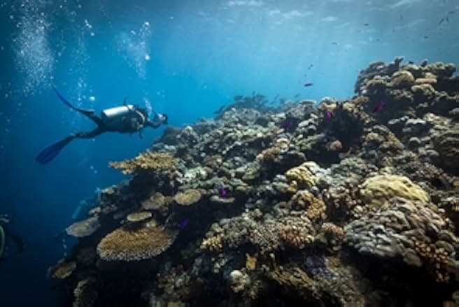 The Map to Paradise 2019