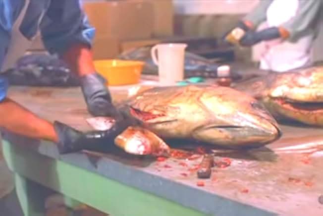 Death Wish 4: The Crackdown 1987