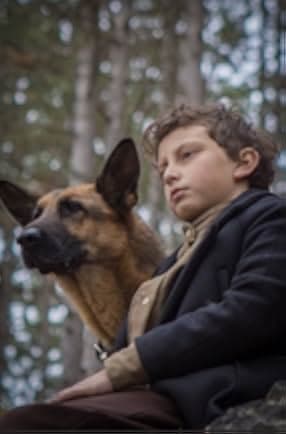 SHEPHERD: The Story of a Jewish Dog 2019