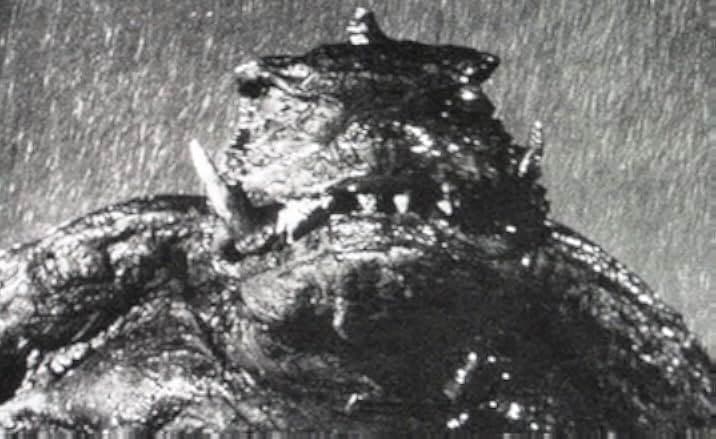 Gamera: The Giant Monster 1965