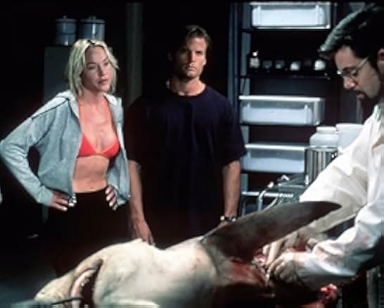 Shark Attack 1999