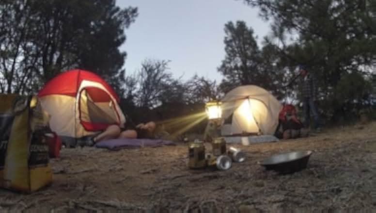 Chupacabra Territory 2016