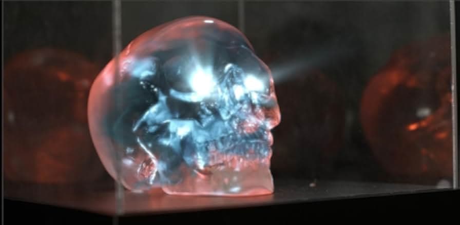 Skullz 2019