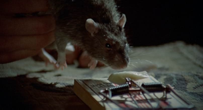 The Killing Kind 1973
