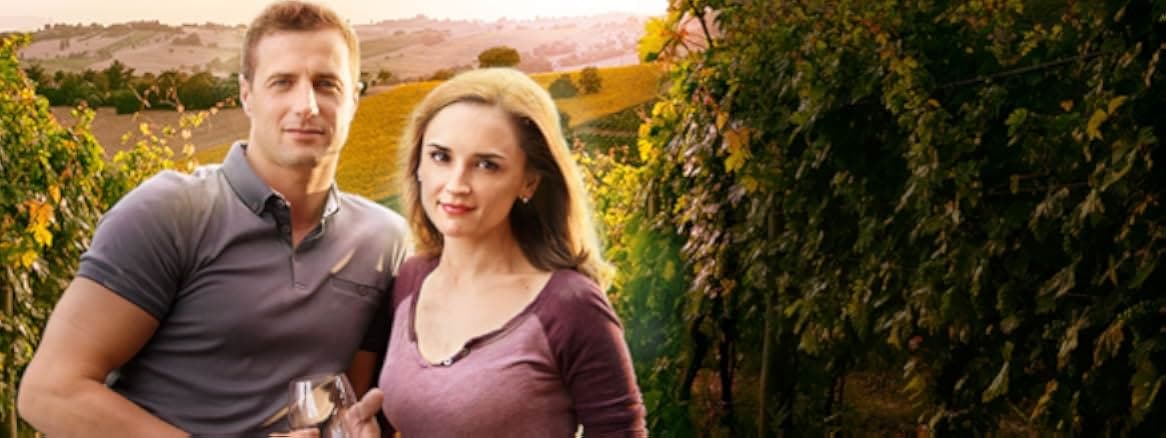 Autumn in the Vineyard 2016