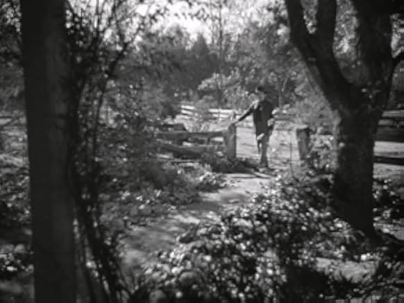 The Prisoner of Shark Island 1936