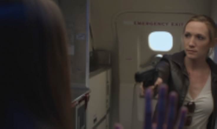 Airline Disaster 2010