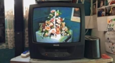 Portrait of Kaye 2021