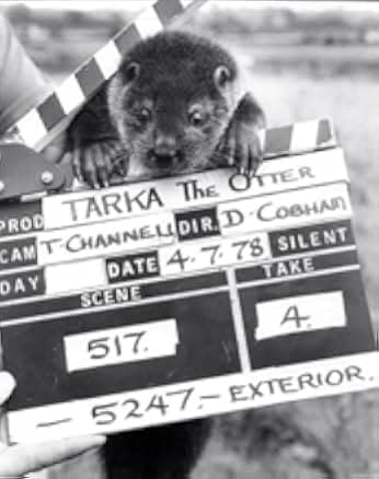 Tarka the Otter 1978