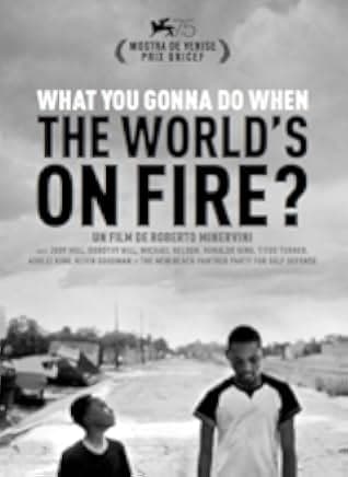 What You Gonna Do When the World's on Fire? 2018