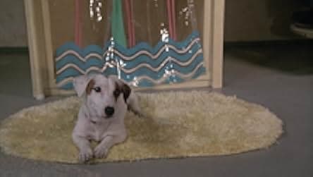 Ernest Goes to Jail 1990