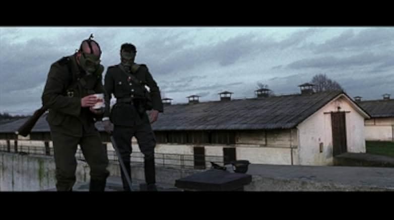 Auschwitz 2011