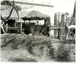 The Naked Jungle 1954