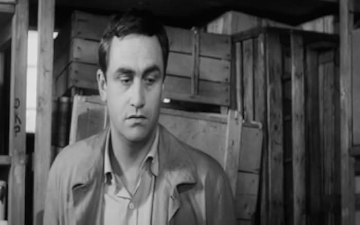 31 Grad im Schatten 1965