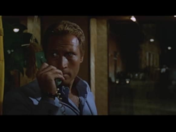 I gabbiani volano basso 1978