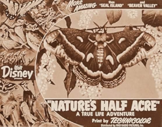 Nature's Half Acre 1951