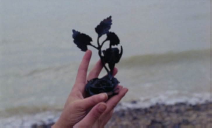 The Iron Rose 1973