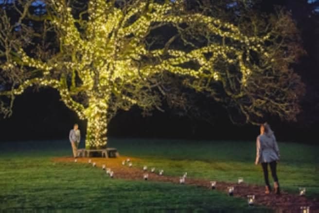 Once Upon a Prince 2018