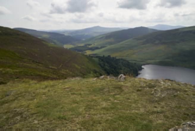 Forever in My Heart 2019