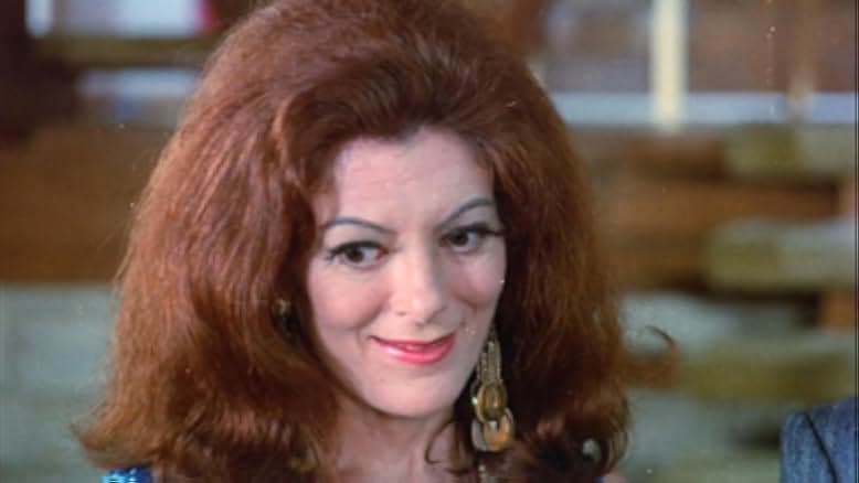 The Sex Therapist 1973